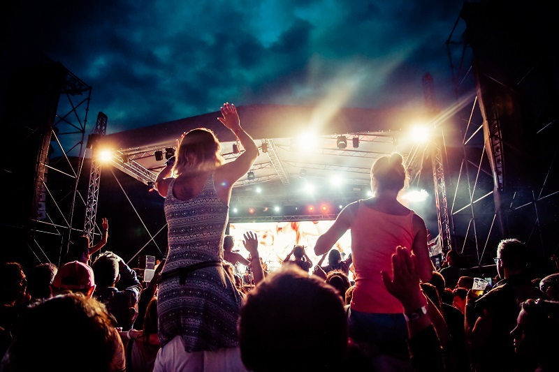 Roses flowers / remarkable flowers