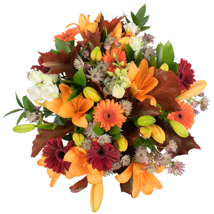 Seen from a slightly elevated angle against a clean white backdrop, this abundant autumn bouquet reads like a small harvest gathered from local gardens and dockside hedgerows. The arrangement is dominated by large, fully open orange Asiatic lilies with graceful trumpet petals, surrounded by numerous unopened green-tinged buds that promise further unfolding. Bright orange and deep burgundy Gerbera daisies punctuate the bouquet with lively, circular blooms whose dark centres add a rustic, honest charm; interspersed creamy white lisianthus offer soft, layered petals that cool and refine the palette. Filler clusters of purple-grey Astrantia bring an intricate, almost lacy texture that plays beautifully against the smoother lily petals, while broad, lobed leaves in rich chestnut and maroon evoke fallen oak or maple, placed as if they were gathered on an autumn walk through Canary Wharf's planted promenades or by the paths of Millwall Park. Fresh green foliage and slender stems provide structural rhythm and a lively contrast that keeps the composition feeling verdant and alive. The bouquet's tight, rounded silhouette and bright lighting emphasise freshness and tactile variety-the silky touch of petals, the papery crunch of autumn leaves, and the soft herbal scent that threads through the blooms. As a local florist on the Isle of Dogs, I imagine this piece brightening a Thanksgiving gathering, seasonal wedding table or a thoughtful gift for someone who loves the warm, bountiful energy of fall; Flower Delivery Isle of Dogs would package it carefully for local delivery across the Docklands and nearby streets.