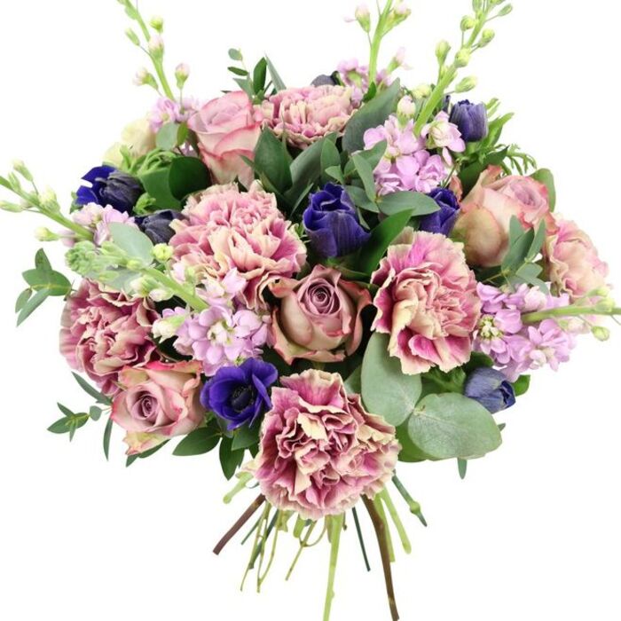 This elegant hand-tied bouquet, set against a crisp white background, appears almost sculptural in its balance of colour and texture, as if it has just been finished on a workbench in an Isle of Dogs flower shop. Full, romantic garden roses in shades of blush pink, dusty rose, and muted mauve sit at the core, their spiralling petals opening into soft, rounded cups that draw the eye immediately. Around them, frilled carnations add volume and movement, each bloom shifting from creamy beige or pale peach at the centre to deeper blush and plum-pink along the ruffled outer edges, giving the arrangement a rich, layered look. Punctuating the pinks are intense notes of blue: tight, elegant buds in deep indigo and open royal blue anemones with dark, velvety centres that provide a striking, contemporary contrast. Slender spires of lilac and pale lavender stock emerge from between the larger flowers, their clusters of small blossoms lending vertical lift and a slightly wild, garden-grown grace, reminiscent of borders in nearby Millwall Park. The bouquet is framed by abundant fresh foliage-rounded, silvery eucalyptus leaves and darker green foliage that weave in and out, adding structure and a suggestion of cool, aromatic freshness. At the base, the stems are visible and neatly bound, hinting at recent cutting and careful spiralling by an experienced florist from Flower Delivery Isle of Dogs, ready for delivery across the local area. With its harmonious blend of pinks, purples, vivid blues, and greens, this design feels ideal for anniversaries, spring celebrations, or simply to bring a polished yet natural beauty into a Docklands living room.
